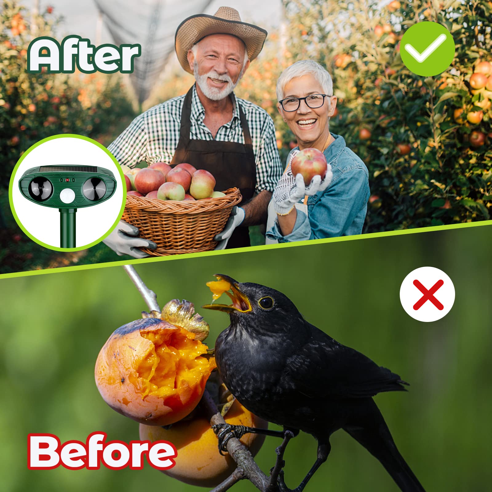 Effective Woodpecker Repellent